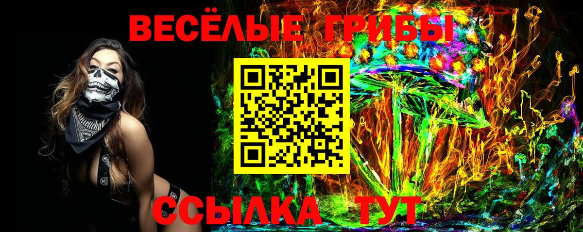 Псилоцибиновые грибы Cubensis  Псилоцибиновые грибы ЛСД  Вход с VPN  Кандалакша 