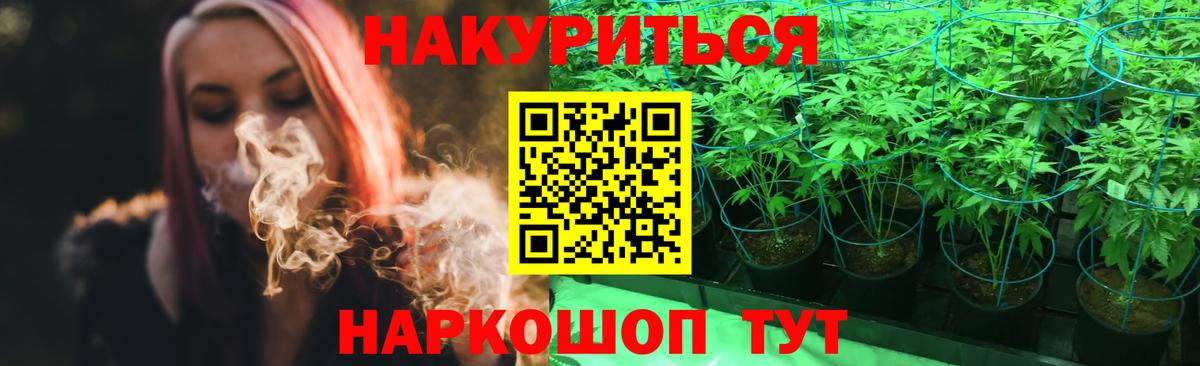 Каннабис сатива  Марихуана план  Кандалакша  Марихуана Ganja  Вход с VPN 